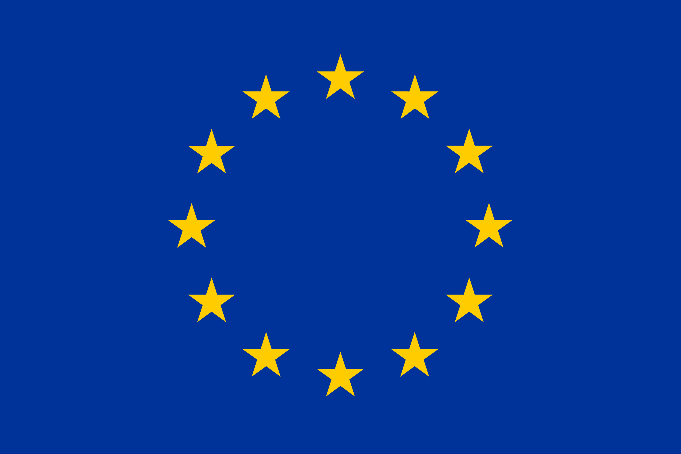 European Union Flag - Funder of WEARPLEX European Union Flag